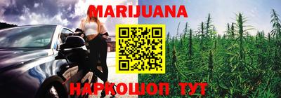 прущие крисы Кингисепп