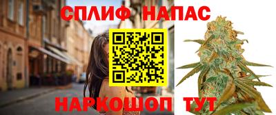 прущие крисы Кингисепп