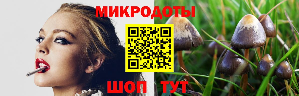 Чапаевск  Галлюциногенные грибы Cubensis  Вход с VPN  Галлюциногенные грибы мухоморы 
